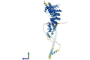 AlphaFold protein structure predicition of Mouse Recombinant Rint1 Protein, UniprotID Q8BZ36