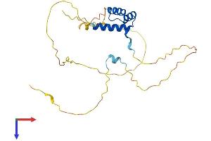 AlphaFold protein structure predicition of Human Recombinant ISX Protein, UniprotID Q2M1V0