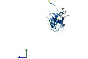 AlphaFold protein structure predicition of Human Recombinant TMEM231 Protein, UniprotID Q9H6L2