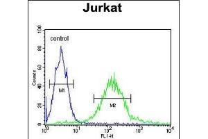 GPRASP1 Antibody (C-term) (ABIN652013 and ABIN2840496) flow cytometric analysis of Jurkat cells (right histogram) compared to a negative control cell (left histogram). (GPRASP1 anticorps  (C-Term))