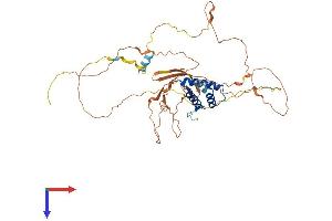 AlphaFold protein structure predicition of Mouse Recombinant Cabyr Protein, UniprotID Q9D424