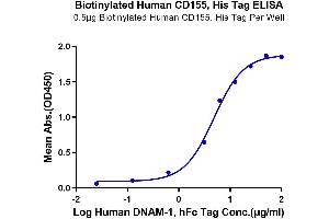 Immobilized Biotinylated Human CD155, His Tag at 5 μg/mL (100 μL/well) on the plate. (Poliovirus Receptor Protein (PVR) (AA 21-343) (His-Avi Tag,Biotin))