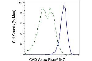Validation of CAD knockdown using flow cytometry. (Recombinant CAD anticorps)