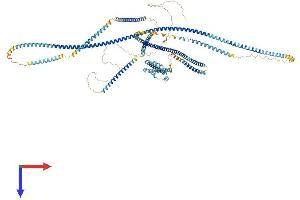 AlphaFold protein structure predicition of Human Recombinant ERC1 Protein, UniprotID Q8IUD2