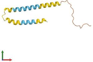 AlphaFold protein structure predicition of Human Recombinant LINC00312 Protein, UniprotID Q9Y6C7