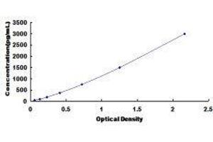 Typical standard curve (ERK2 Kit ELISA)