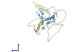 AlphaFold protein structure predicition of Human Recombinant ZNF174 Protein, UniprotID Q15697