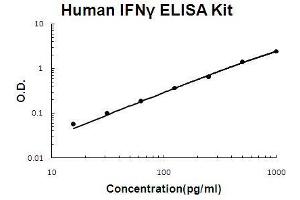 Human IFN gamma PicoKine ELISA Kit standard curve