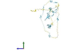 AlphaFold protein structure predicition of Mouse Recombinant Saxo2 Protein, UniprotID Q8BQB6