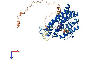 AlphaFold protein structure predicition of Human Recombinant RRM2 Protein, UniprotID P31350