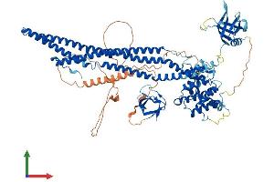AlphaFold protein structure predicition of Human Recombinant ARHGAP26 Protein, UniprotID Q9UNA1