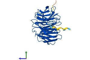 AlphaFold protein structure predicition of Human Recombinant WDR83 Protein, UniprotID Q9BRX9