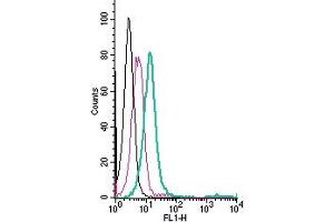 Cell surface detection of GPR4 by direct flow cytometry in live intact human  monocytic leukemia cells: + Rabbit IgG Isotype Control-FITC (ABIN7582044). (GPR4 anticorps  (Extracellular) (FITC))