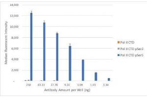 RNA pol II CTD phospho Ser5 antibody (rAb) tested by Luminex bead-based specificity analysis.