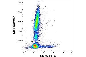 Flow cytometry surface staining pattern of human peripheral whole blood stained using anti-human CD75 (LN1) PE antibody (4 μL reagent / 100 μL of peripheral whole blood). (ST6GAL1 anticorps  (FITC))