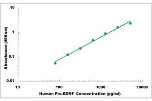 Pro-Brain-Derived Neurotrophic Factor (proBDNF) ELISA Kit