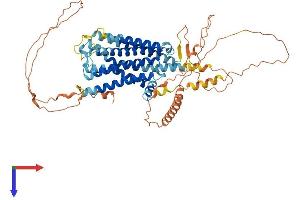 AlphaFold protein structure predicition of Human Recombinant ADRA1D Protein, UniprotID P25100
