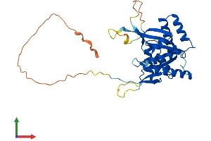 AlphaFold protein structure predicition of Human Recombinant BCCIP Protein, UniprotID Q9P287