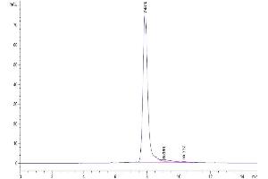 The purity of Human Beta Klotho is greater than 95 % as determined by SEC-HPLC.
