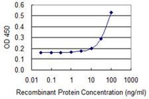 anti-Microsomal Glutathione S-Transferase 2 (MGST2) (AA 1-147) antibody