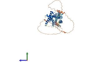 AlphaFold protein structure predicition of Mouse Recombinant Hrh1 Protein, UniprotID P70174