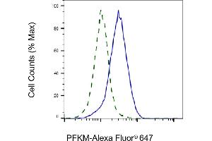 Validation of PFKM knockdown using flow cytometry. (Recombinant PFKM anticorps)