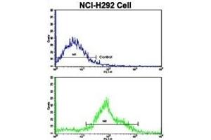Flow cytometric analysis of NCI- cells using FTO Antibody (N-term)(bottom histogram) compared to a negative control cell (top histogram). (FTO anticorps  (N-Term))