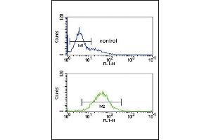 HIF1A Antibody (ABIN651073 and ABIN2840060) flow cytometric analysis of K562 cells (bottom histogram) compared to a negative control cell (top histogram). (HIF1A anticorps)