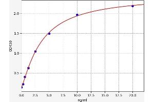 Typical standard curve (Biliverdin Reductase Kit ELISA)