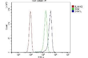Flow Cytometry analysis of SiHa cells using anti-DRP1/DNM1L antibody (ABIN7602180). (Dynamin 1-Like anticorps  (AA 618-736))
