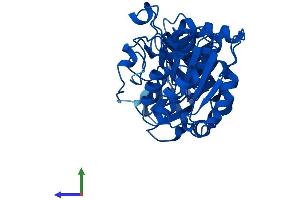 AlphaFold protein structure predicition of Mouse Recombinant Adh7 Protein, UniprotID Q64437