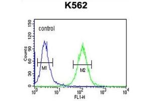 Flow Cytometry (FACS) image for anti-Reticulon 4 Receptor-Like 1 (RTN4RL1) antibody (ABIN3002287) (RTN4RL1 anticorps)