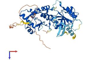 AlphaFold protein structure predicition of Mouse Recombinant Dnmt3l Protein, UniprotID Q9CWR8