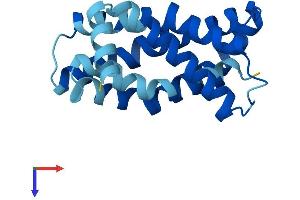 AlphaFold protein structure predicition of Human Recombinant MPV17 Protein, UniprotID P39210