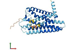 AlphaFold protein structure predicition of Human Recombinant OR7D2 Protein, UniprotID Q96RA2