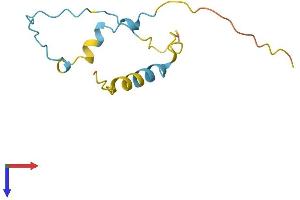 AlphaFold protein structure predicition of Mouse Recombinant Lbh Protein, UniprotID Q9CX60