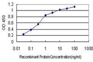 Detection limit for recombinant GST tagged AHNAK is approximately 0. (AHNAK anticorps  (AA 1-100))