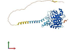 AlphaFold protein structure predicition of Human Recombinant ABHD12 Protein, UniprotID Q8N2K0