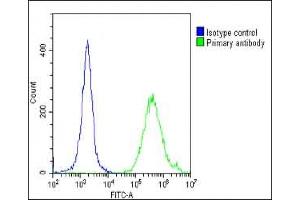 Overlay histogram showing Hela cells stained with (ABIN652044 and ABIN2840518)(green line).