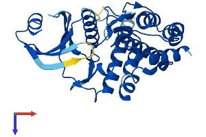 AlphaFold protein structure predicition of Human Recombinant FN3KRP Protein, UniprotID Q9HA64