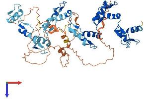 AlphaFold protein structure predicition of Human Recombinant ZNF79 Protein, UniprotID Q15937