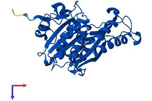 AlphaFold protein structure predicition of Human Recombinant MEMO1 Protein, UniprotID Q9Y316