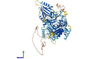 AlphaFold protein structure predicition of Mouse Recombinant Fig4 Protein, UniprotID Q91WF7