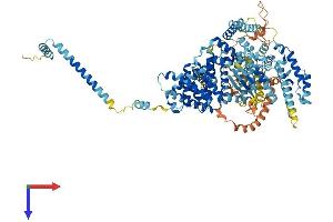 AlphaFold protein structure predicition of Human Recombinant SNX13 Protein, UniprotID Q9Y5W8