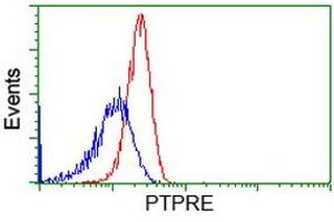 Image no. 2 for anti-Protein tyrosine Phosphatase, Receptor Type, E (PTPRE) antibody (ABIN1500507) (PTPRE anticorps)