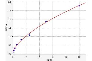 Typical standard curve (CEBPB Kit ELISA)