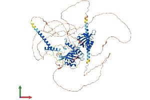 AlphaFold protein structure predicition of Mouse Recombinant Clock Protein, UniprotID O08785