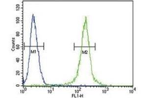 anti-Anti-Mullerian Hormone (AMH) (AA 424-451) antibody