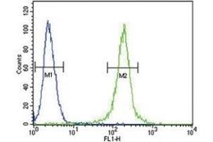 AMH antibody flow cytometric analysis of 293 cells (green)