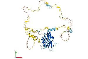 AlphaFold protein structure predicition of Mouse Recombinant Shd Protein, UniprotID O88834